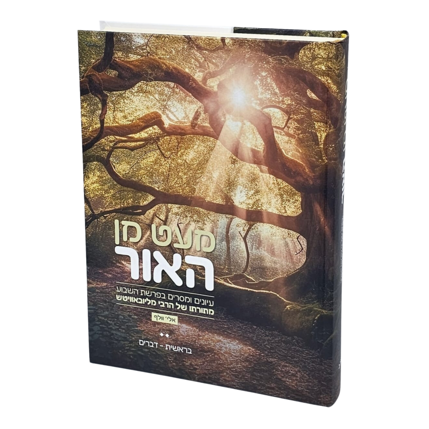 מעט מן האור - חלק ב