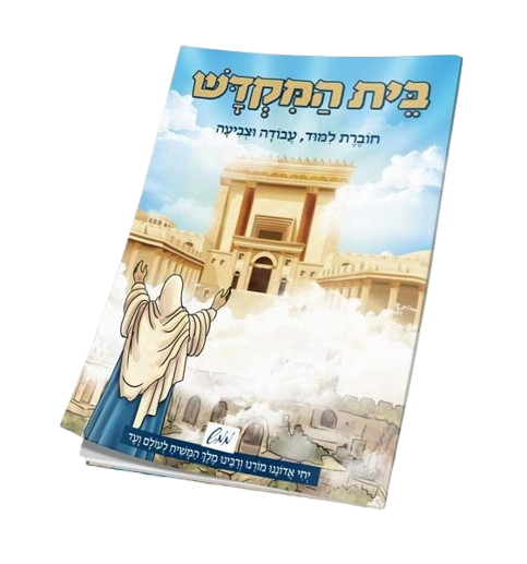 Beis HaMikdash Colorong book