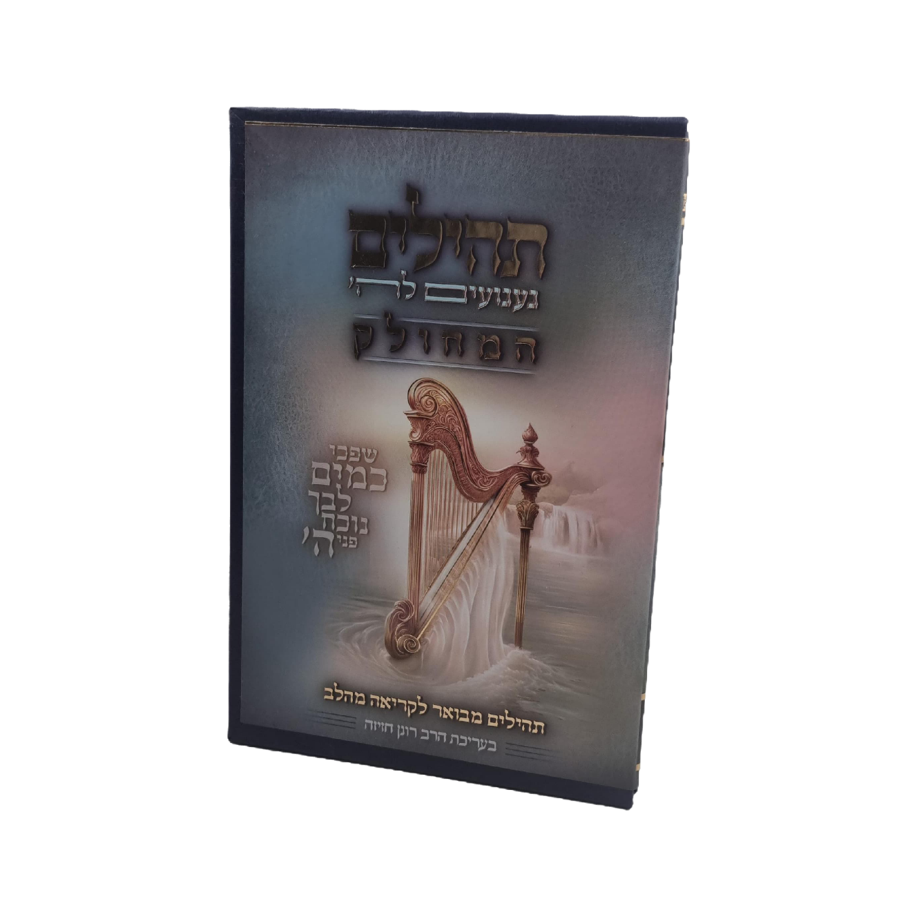 תהילים געגועים לה' המחולק