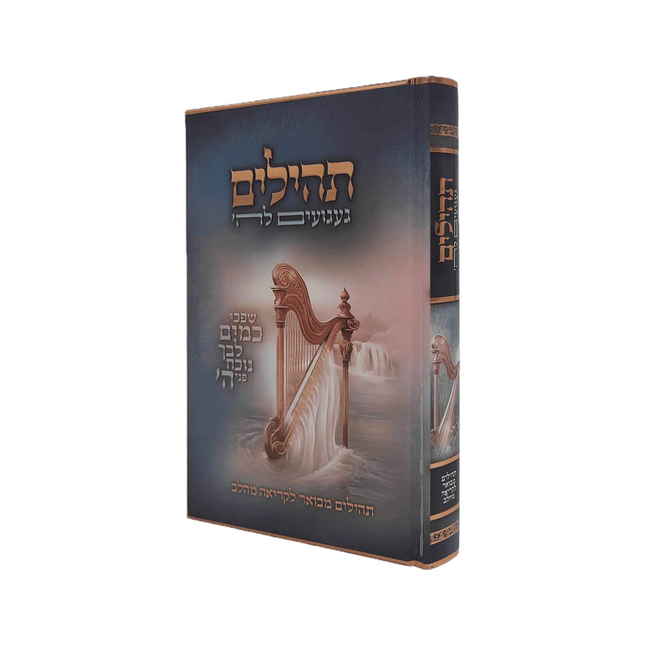 ספר תהילים 'געגועים להשם' - הרב רונן חזיזה )ף