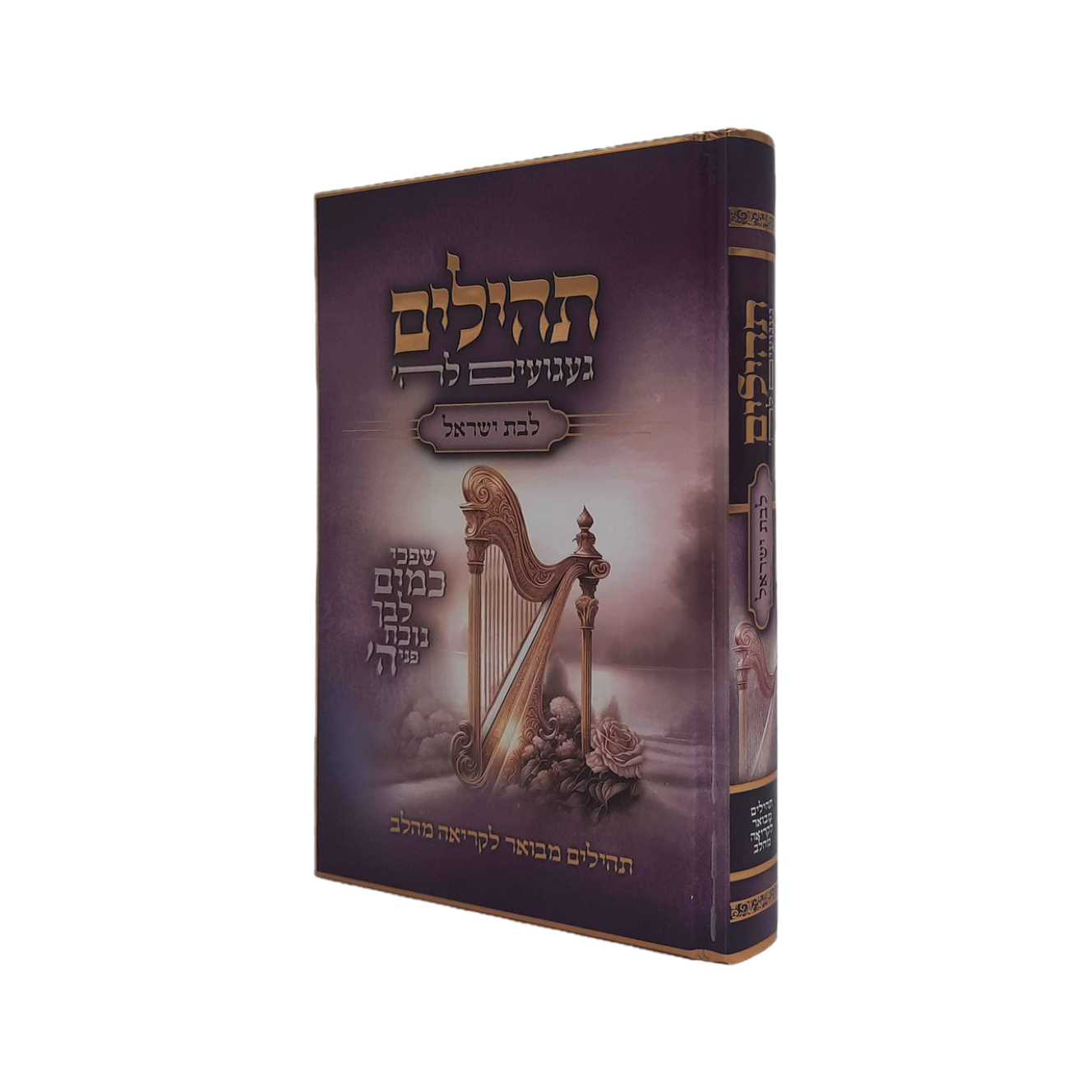 ספר תהילים לבת ישראל 'געגועים להשם' - הרב רונן חזיזה