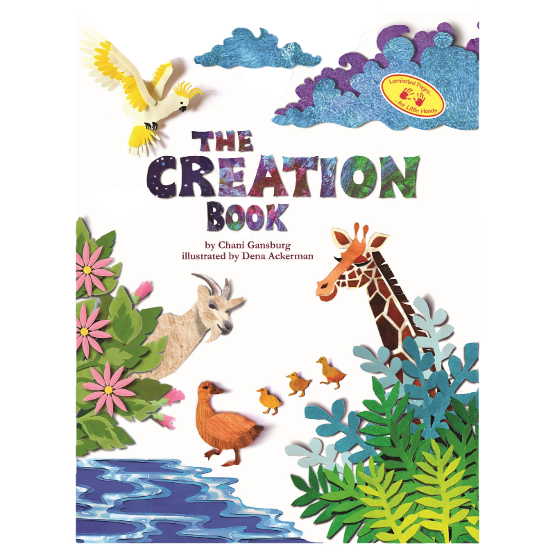 The Creation Book