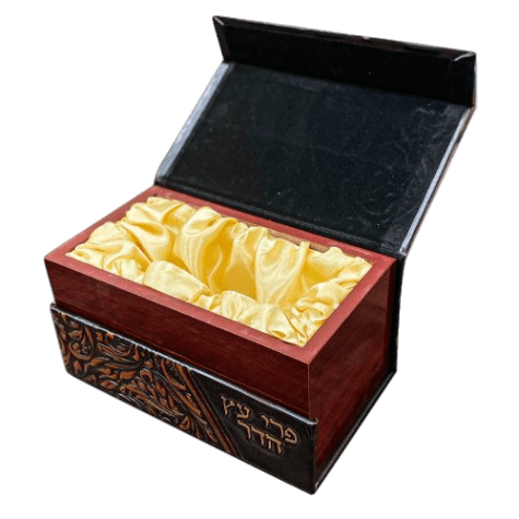 Leather-like Etrog Box With Handle