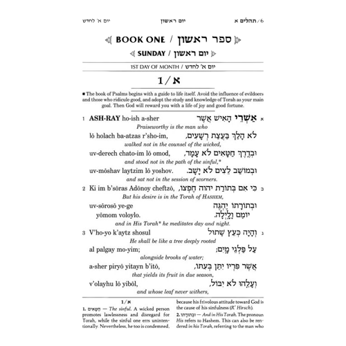 Seif Ed. Translit. Tehillim Full Size H/C