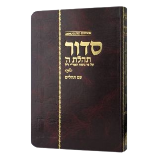 Siddur Annotated Hebrew with English Instructions Compact Edition
