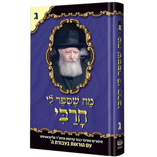 מה שסיפר לי הרבי - ג