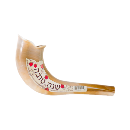 Small Plastic Shofar