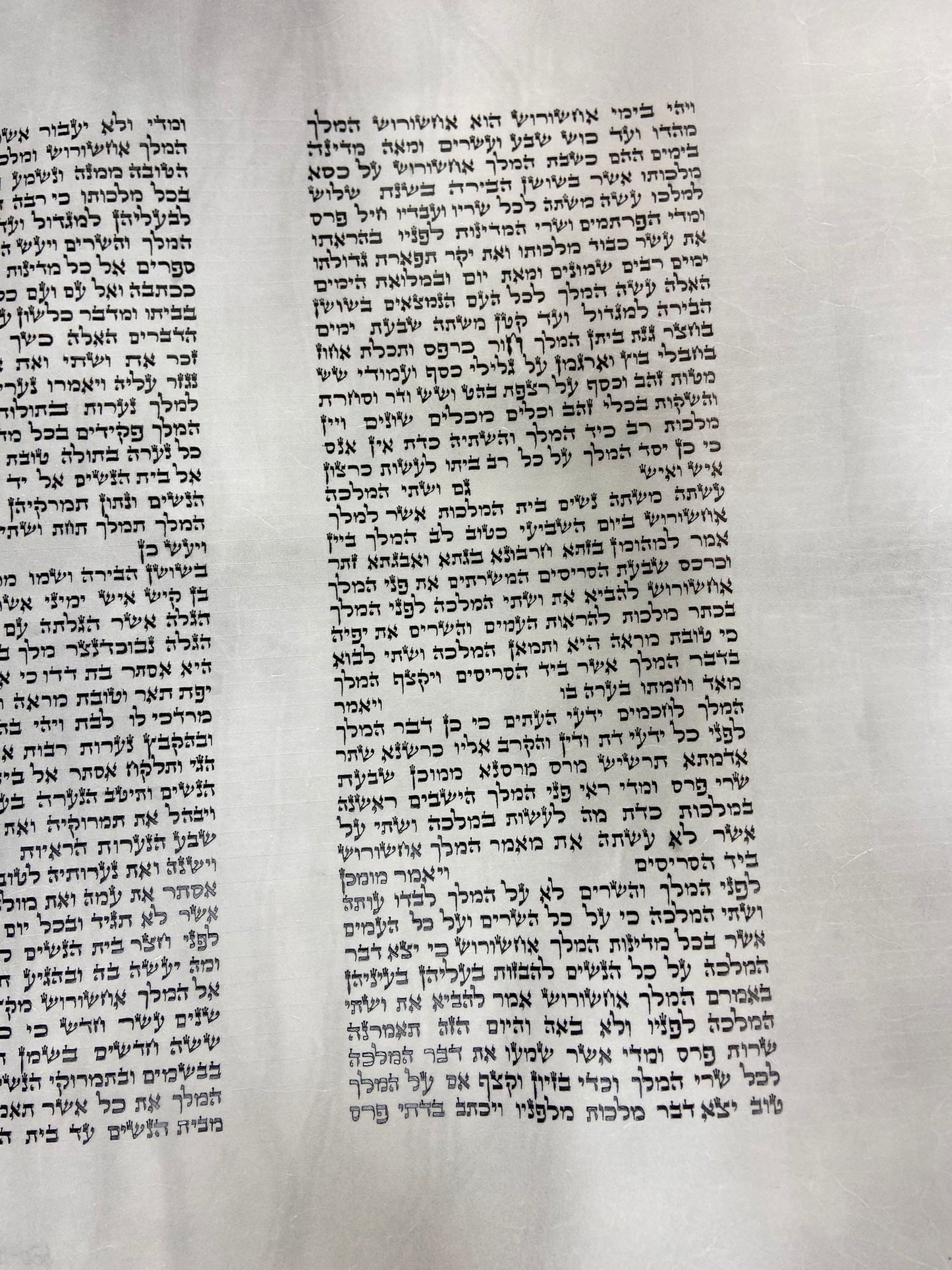 Megillas Esther Scroll