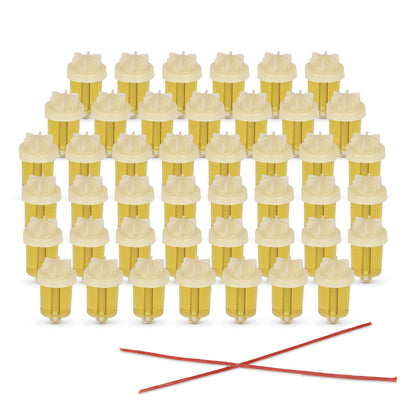 Chabad Prefilled Oil Set - 36 + 8 Hanukkah Set