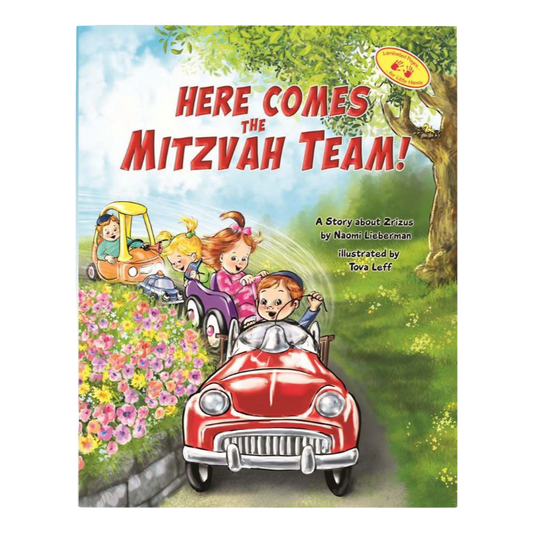 Here Comes the Mitzvah Team!