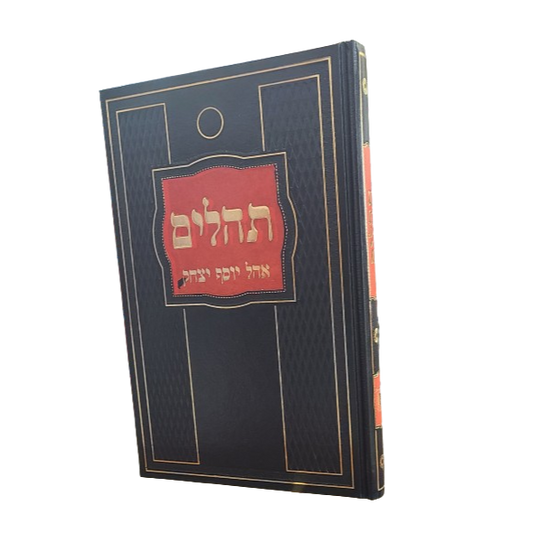 Tehilim Large | תהילים - אוהל יוסף יצחק - גדול