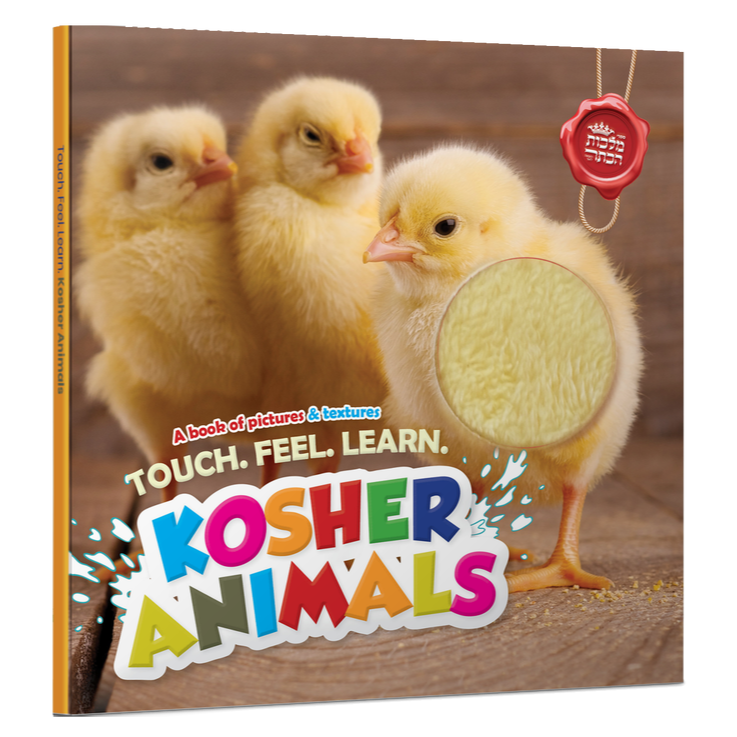 Touch & Feel - Kosher Animals