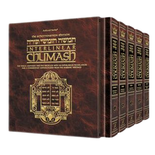 Schottenstein Ed Interlinear Chumashim 5 Vol Slipcased Set